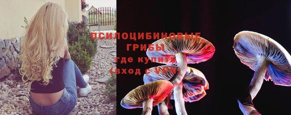 круглые Инсар