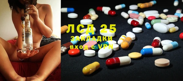 индика Зерноград