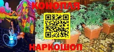эйфоретик Волжский