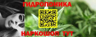 гидра Волгодонск