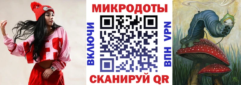 где можно купить наркотик  Ирбит  Галлюциногенные грибы Psilocybe 