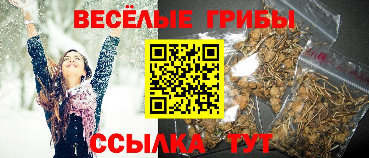 Ирбит  Галлюциногенные грибы Psilocybe  Вход с VPN  Галлюциногенные грибы Magic Shrooms 
